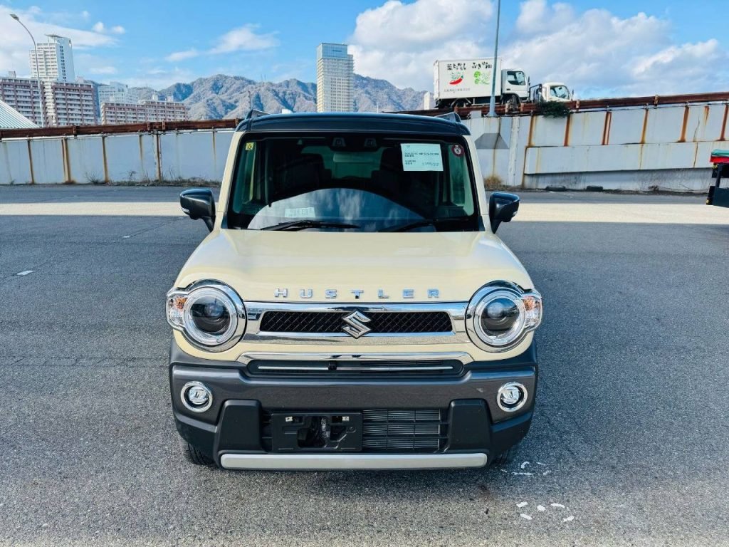 Whatsapp Image 2025 07 01 At 08.56.34 61c62c46